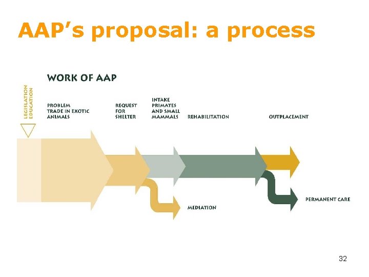 AAP’s proposal: a process 32 