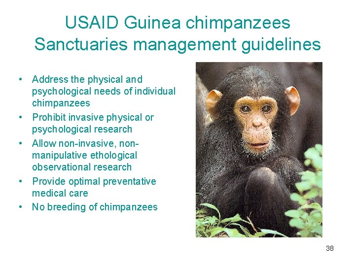USAID Guinea chimpanzees Sanctuaries management guidelines • Address the physical and psychological needs of