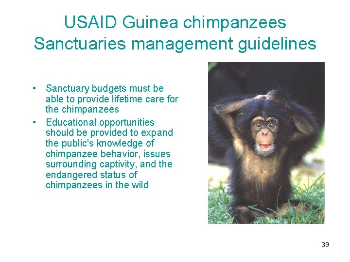 USAID Guinea chimpanzees Sanctuaries management guidelines • Sanctuary budgets must be able to provide