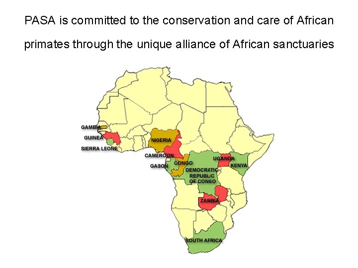PASA is committed to the conservation and care of African primates through the unique