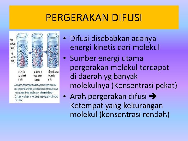 PERGERAKAN DIFUSI • Difusi disebabkan adanya energi kinetis dari molekul • Sumber energi utama