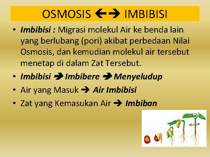 OSMOSIS IMBIBISI • Imbibisi : Migrasi molekul Air ke benda lain yang berlubang (pori)