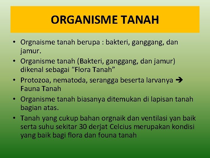 ORGANISME TANAH • Orgnaisme tanah berupa : bakteri, gang, dan jamur. • Organisme tanah