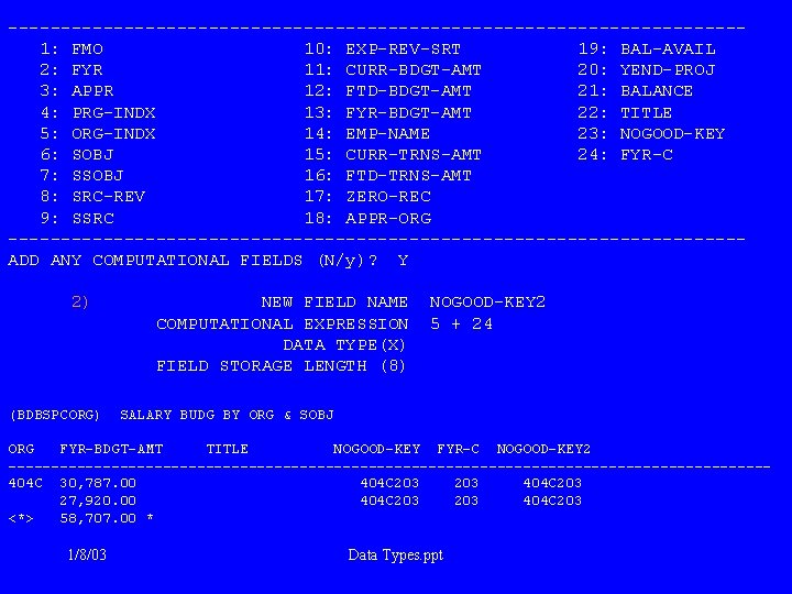 ----------------------------------- 1: FMO 10: EXP-REV-SRT 19: BAL-AVAIL 2: FYR 11: CURR-BDGT-AMT 20: YEND-PROJ 3: