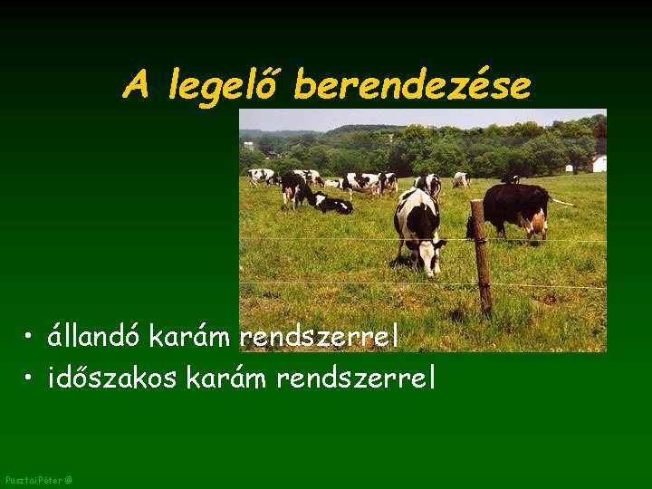 A legelő berendezése • állandó karám rendszerrel • időszakos karám rendszerrel Pusztai Péter ©