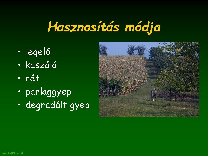 Hasznosítás módja • • • Pusztai Péter © legelő kaszáló rét parlaggyep degradált gyep