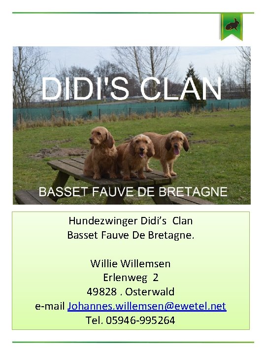 Hundezwinger Didi’s Clan Basset Fauve De Bretagne. Willie Willemsen Erlenweg 2 49828. Osterwald e-mail