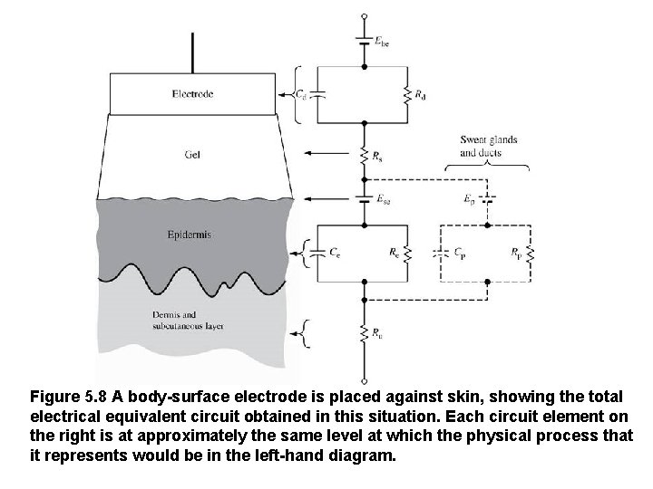 Figure 5. 8 A body-surface electrode is placed against skin, showing the total electrical