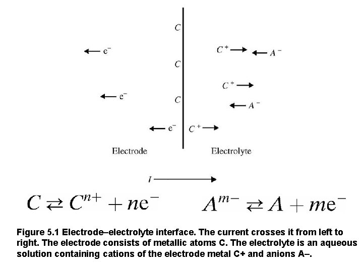 Figure 5. 1 Electrode–electrolyte interface. The current crosses it from left to right. The