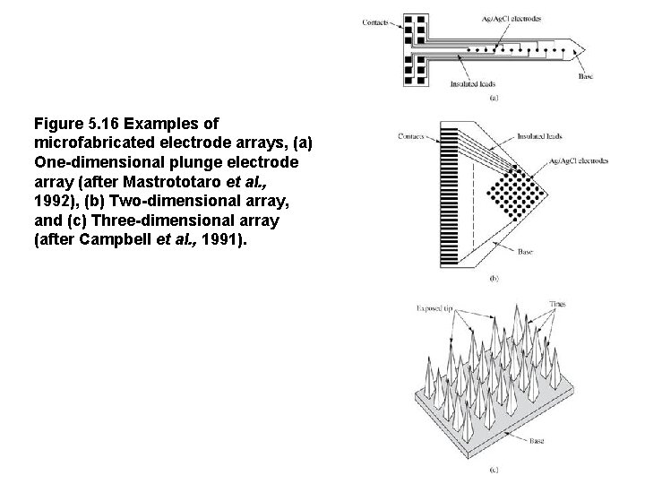 Figure 5. 16 Examples of microfabricated electrode arrays, (a) One-dimensional plunge electrode array (after