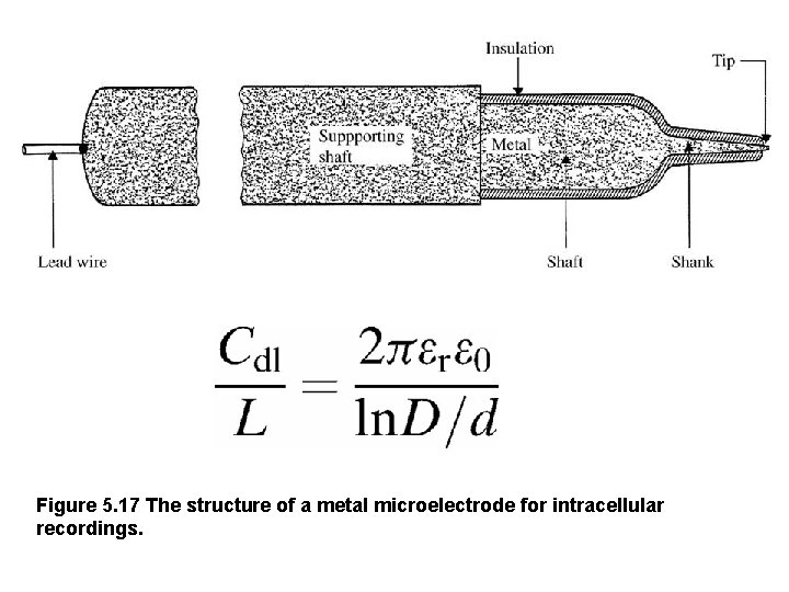 Figure 5. 17 The structure of a metal microelectrode for intracellular recordings. 