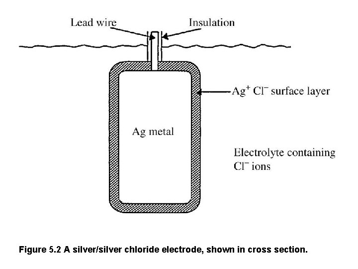 Figure 5. 2 A silver/silver chloride electrode, shown in cross section. 