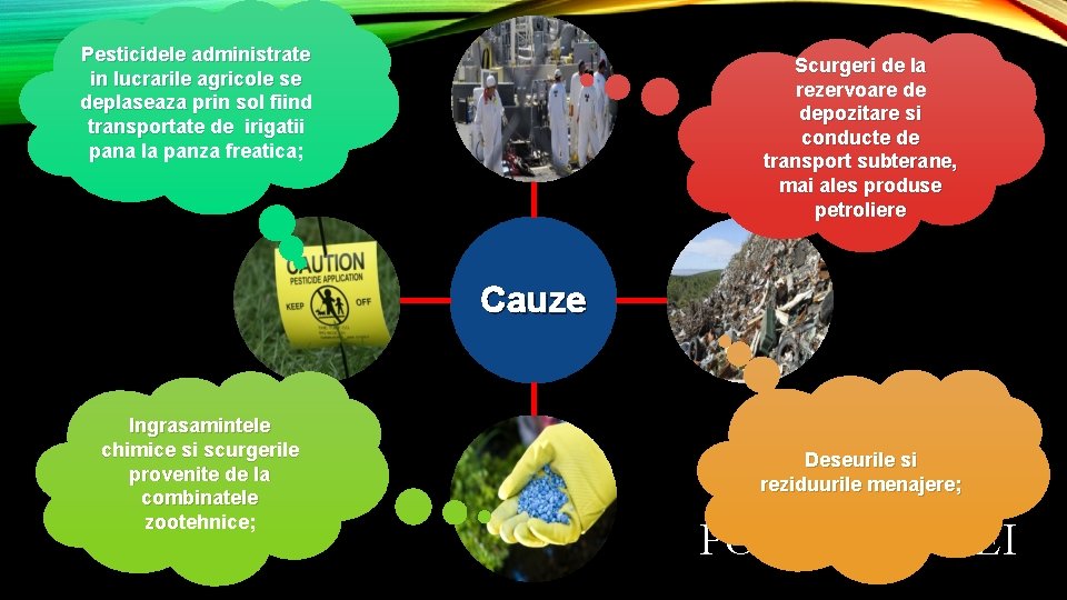 Pesticidele administrate in lucrarile agricole se deplaseaza prin sol fiind transportate de irigatii pana Pesticidele administrate in lucrarile agricole se deplaseaza prin sol fiind transportate de irigatii pana