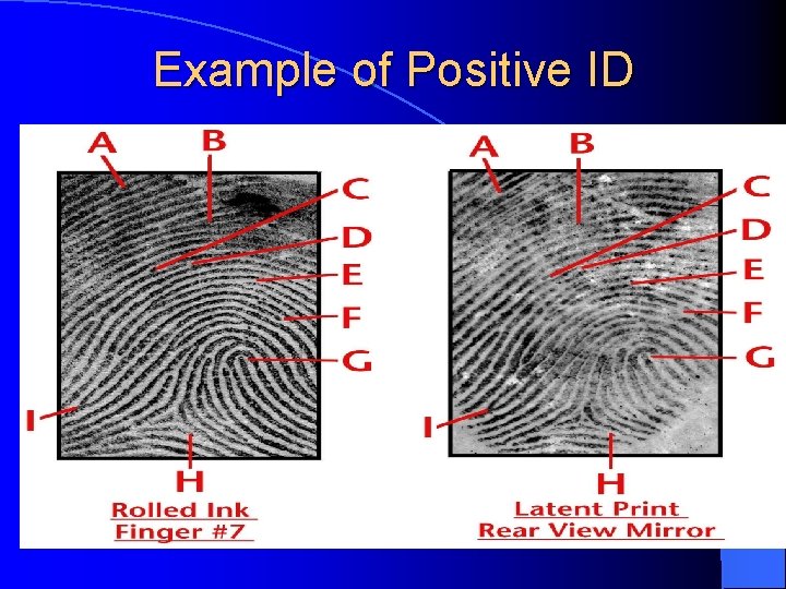 Example of Positive ID 