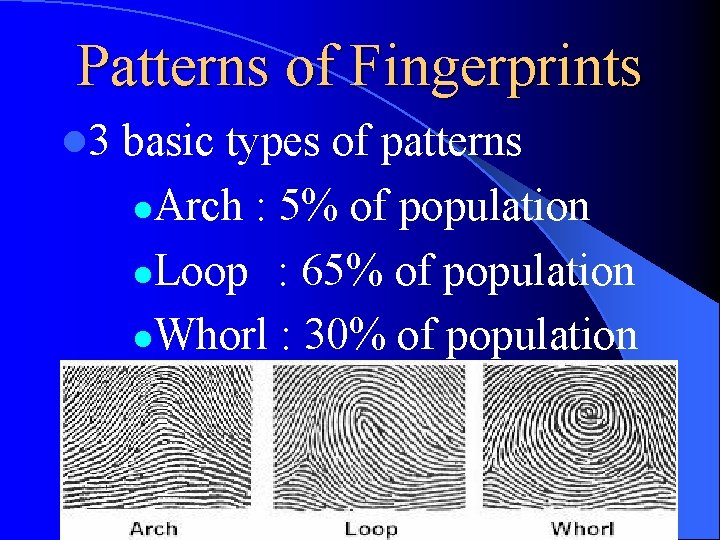 Patterns of Fingerprints l 3 basic types of patterns l. Arch : 5% of