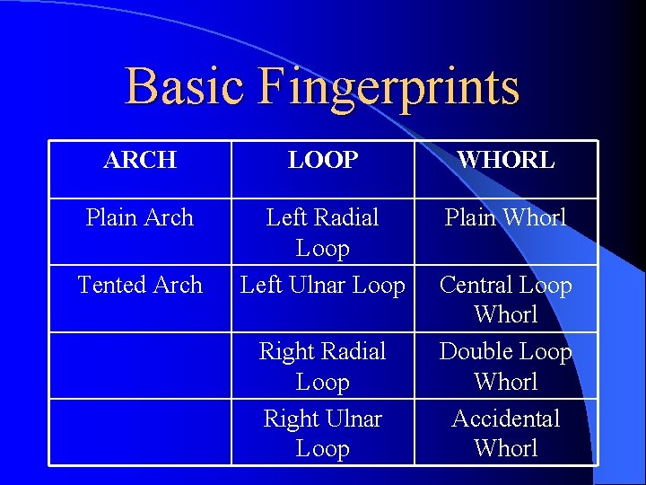 Basic Fingerprints ARCH LOOP WHORL Plain Arch Left Radial Loop Left Ulnar Loop Plain