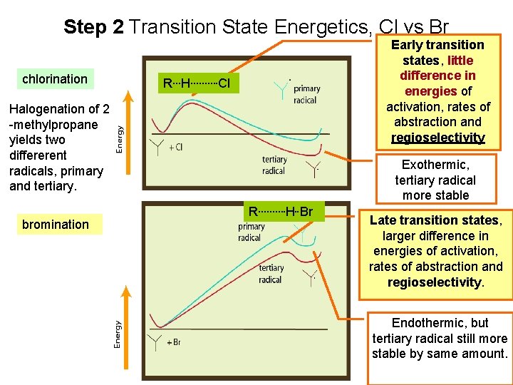 Step 2 Transition State Energetics, Cl vs Br chlorination Early transition states, little difference