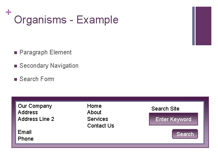 + Organisms - Example n Paragraph Element n Secondary Navigation n Search Form Our