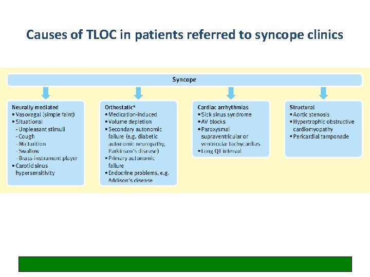 Causes of TLOC in patients referred to syncope clinics 50% 2% 30% in elderly