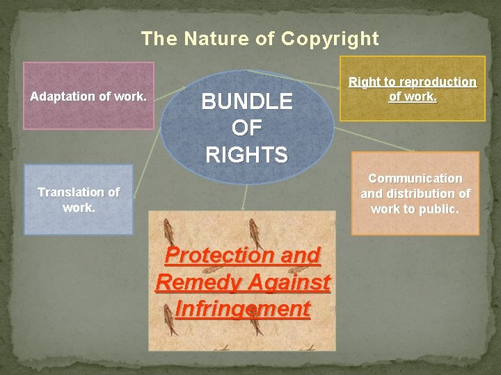 The Nature of Copyright Adaptation of work. BUNDLE OF RIGHTS Right to reproduction of