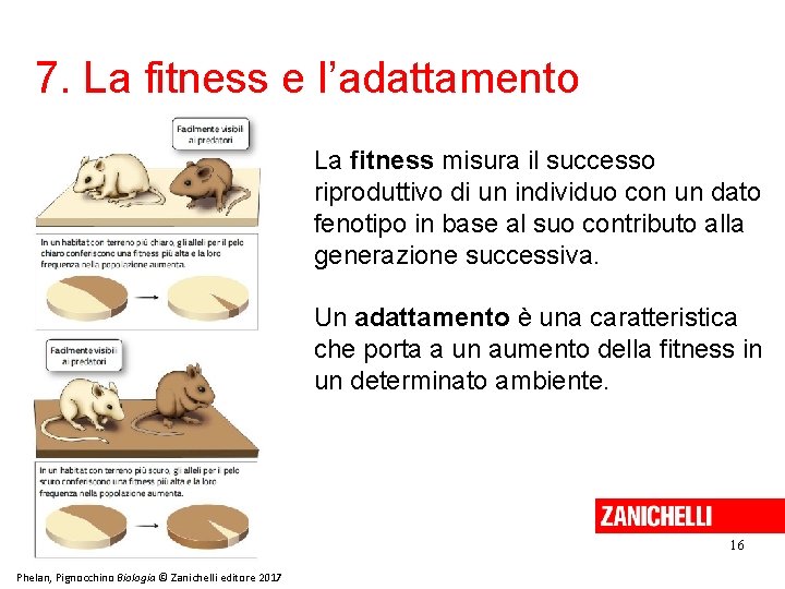 7. La fitness e l’adattamento La fitness misura il successo riproduttivo di un individuo