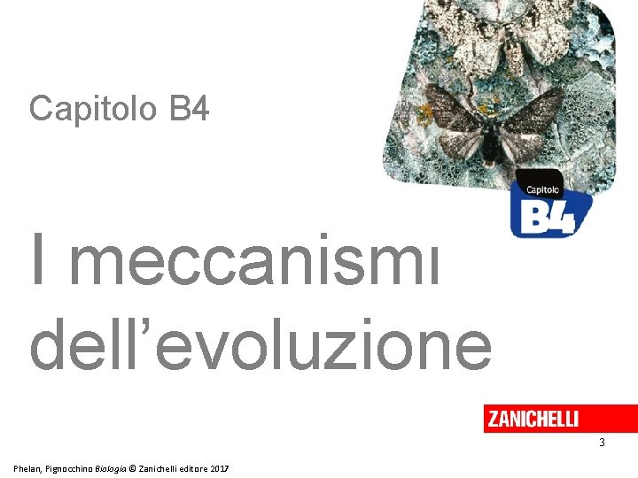 Capitolo B 4 I meccanismi dell’evoluzione 3 Phelan, Pignocchino Biologia © Zanichelli editore 2017