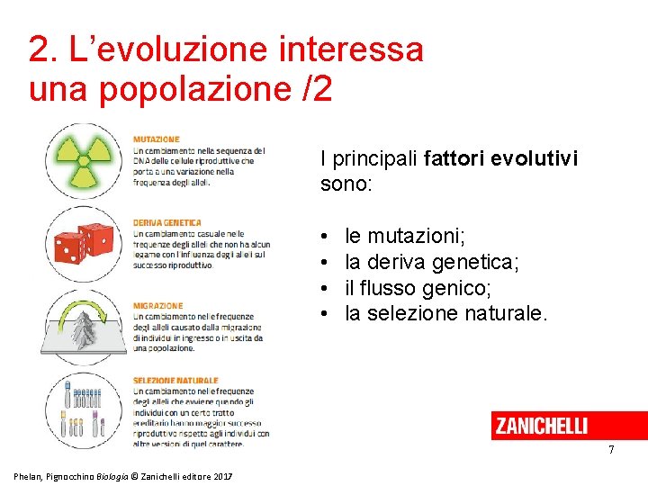 2. L’evoluzione interessa una popolazione /2 I principali fattori evolutivi sono: • • le