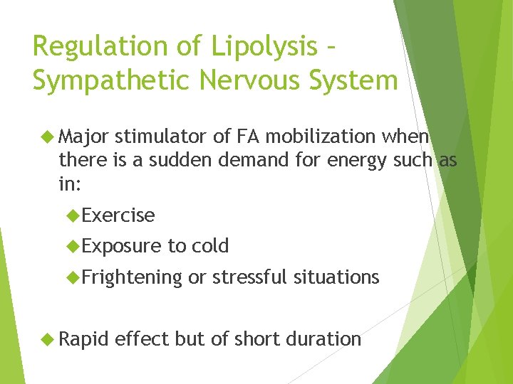 Regulation of Lipolysis – Sympathetic Nervous System Major stimulator of FA mobilization when there