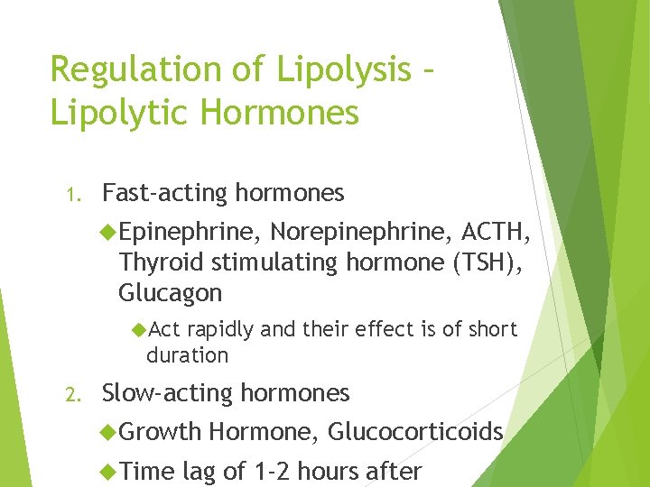 Regulation of Lipolysis – Lipolytic Hormones 1. Fast-acting hormones Epinephrine, Norepinephrine, ACTH, Thyroid stimulating