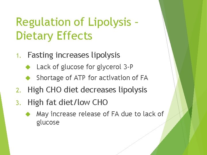 Regulation of Lipolysis – Dietary Effects 1. Fasting increases lipolysis Lack of glucose for