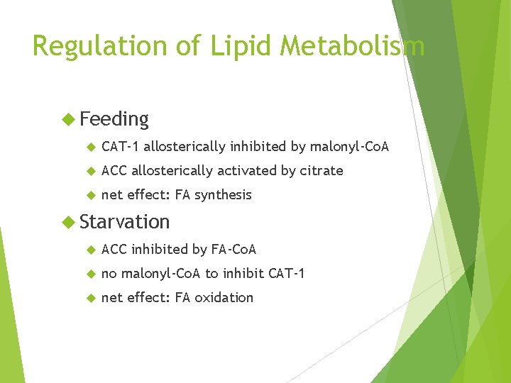 Regulation of Lipid Metabolism Feeding CAT-1 allosterically inhibited by malonyl-Co. A ACC allosterically activated
