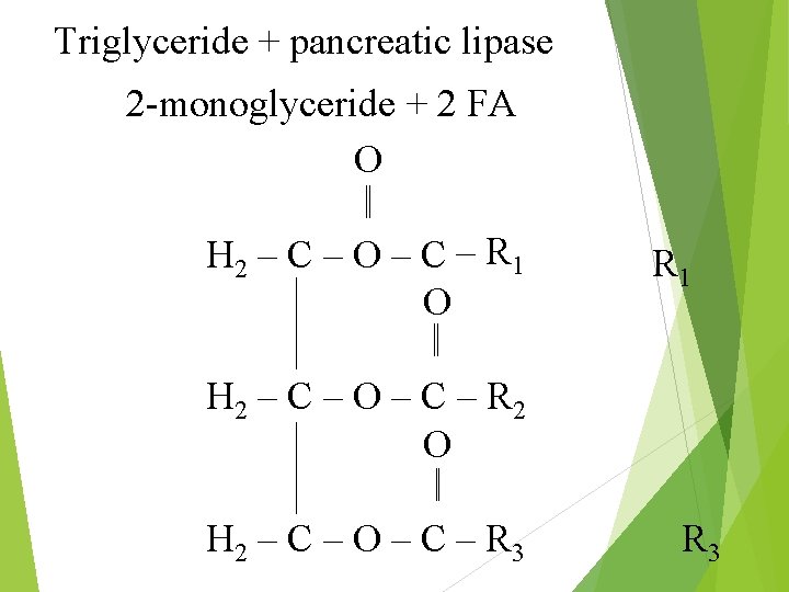 Triglyceride + pancreatic lipase 2 -monoglyceride + 2 FA O H 2 – C