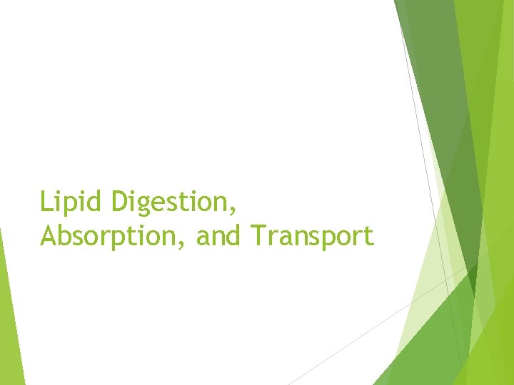 Lipid Digestion, Absorption, and Transport 