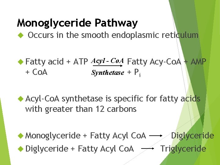 Monoglyceride Pathway Occurs in the smooth endoplasmic reticulum acid + ATP Acyl - Co.