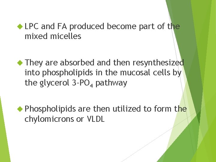  LPC and FA produced become part of the mixed micelles They are absorbed