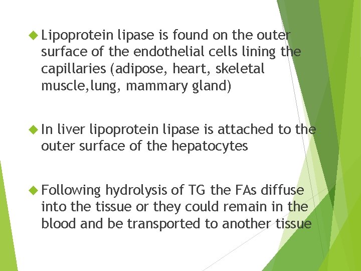 Lipoprotein lipase is found on the outer surface of the endothelial cells lining