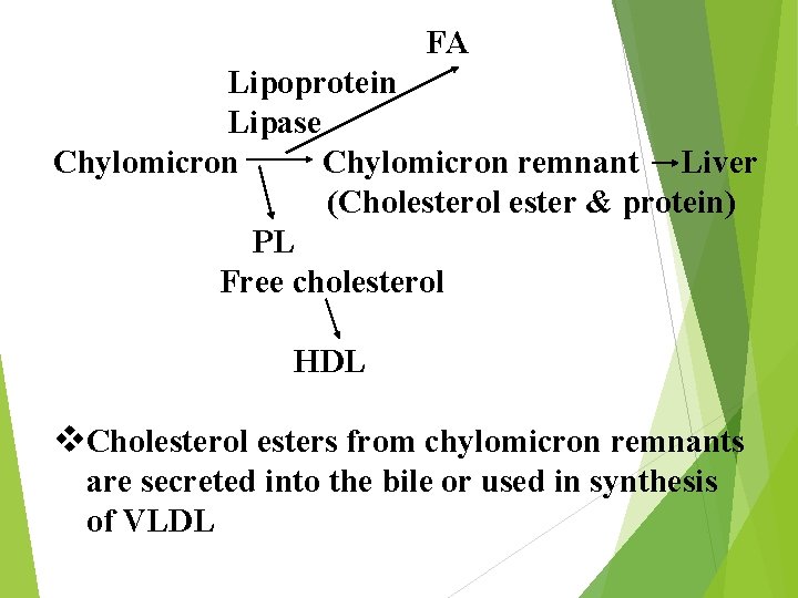 FA Lipoprotein Lipase Chylomicron remnant Liver (Cholesterol ester & protein) PL Free cholesterol HDL