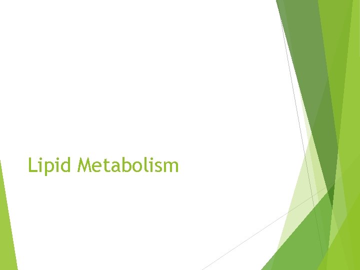 Lipid Metabolism 