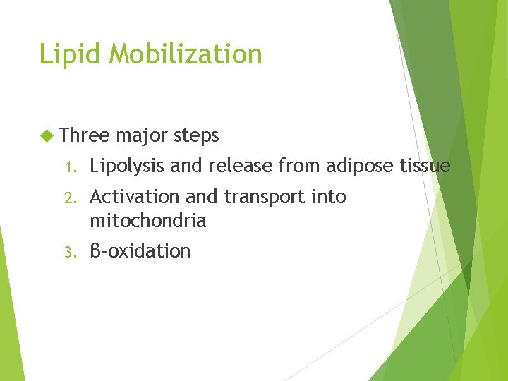 Lipid Mobilization Three major steps 1. Lipolysis and release from adipose tissue 2. Activation