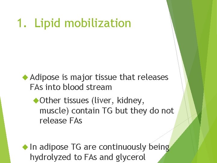 1. Lipid mobilization Adipose is major tissue that releases FAs into blood stream Other