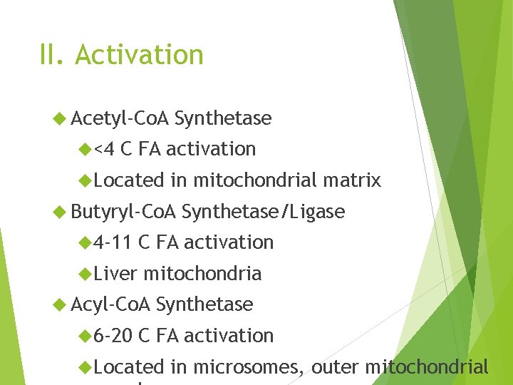 II. Activation Acetyl-Co. A <4 Synthetase C FA activation Located in mitochondrial matrix Butyryl-Co.