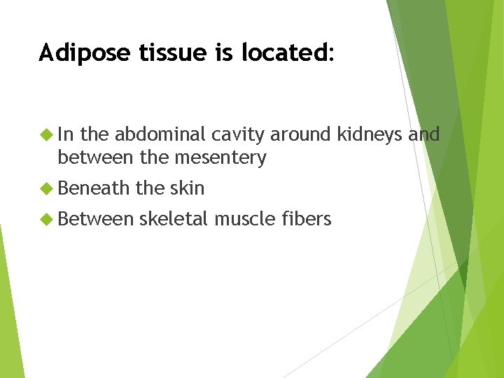 Adipose tissue is located: In the abdominal cavity around kidneys and between the mesentery