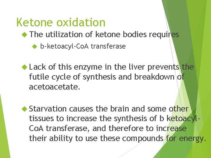 Ketone oxidation The utilization of ketone bodies requires b-ketoacyl-Co. A transferase Lack of this