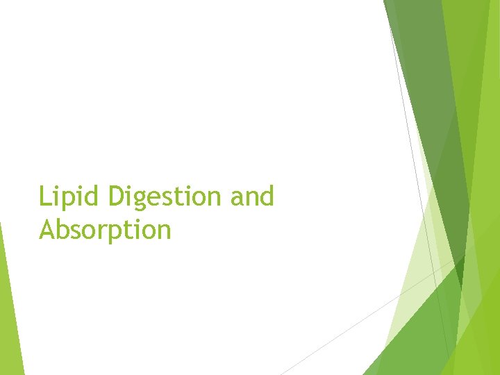 Lipid Digestion and Absorption 
