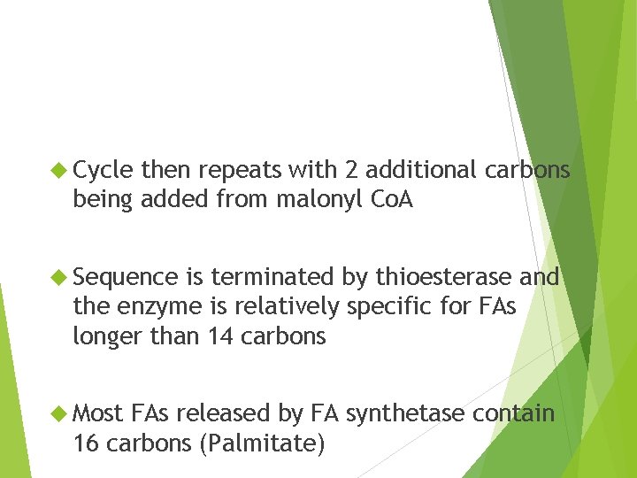  Cycle then repeats with 2 additional carbons being added from malonyl Co. A