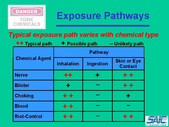Exposure Pathways Typical exposure path varies with chemical type ++ Typical path + Possible
