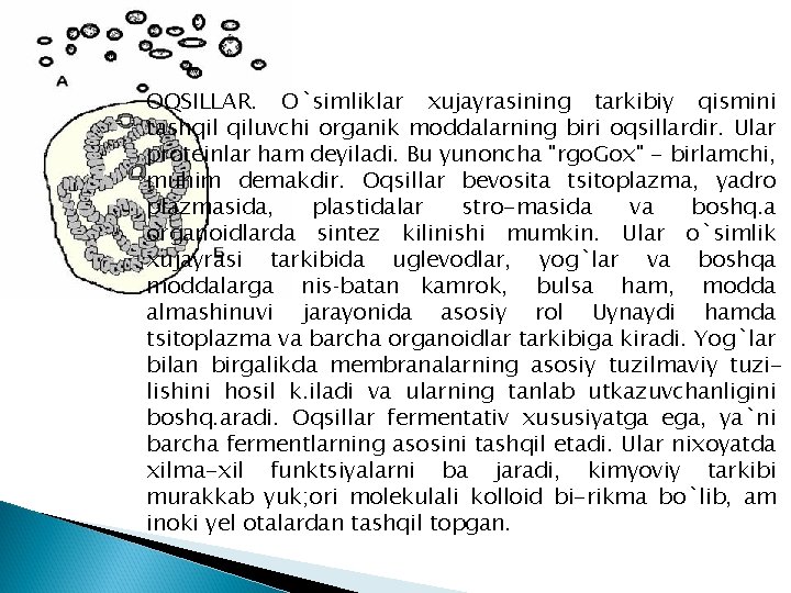 OQSILLAR. O`simliklar xujayrasining tarkibiy qismini tashqil qiluvchi organik moddalarning biri oqsillardir. Ular proteinlar ham