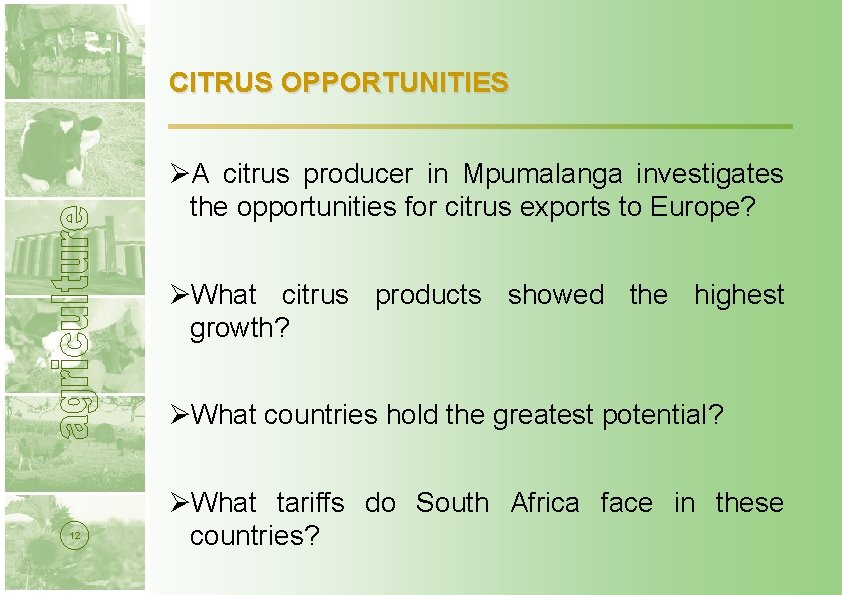 CITRUS OPPORTUNITIES ØA citrus producer in Mpumalanga investigates the opportunities for citrus exports to