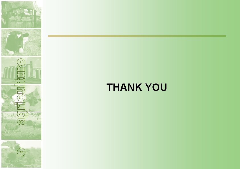 THANK YOU 17 