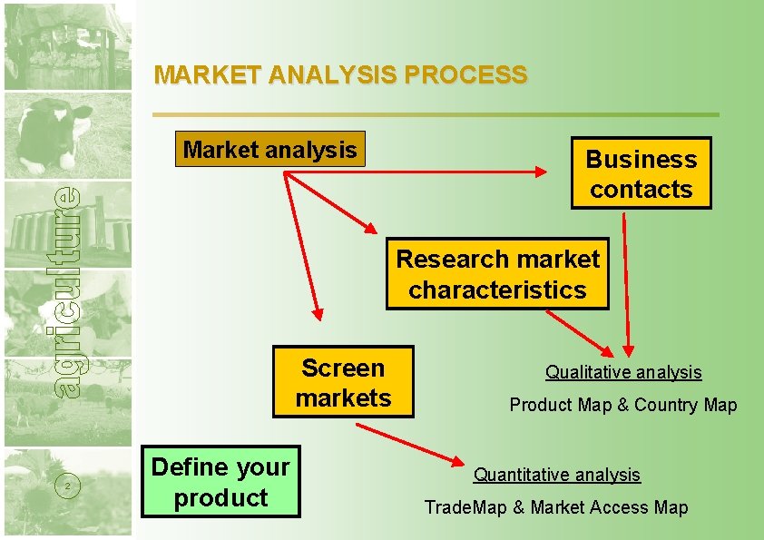 MARKET ANALYSIS PROCESS Market analysis Business contacts Research market characteristics Screen markets 2 Define